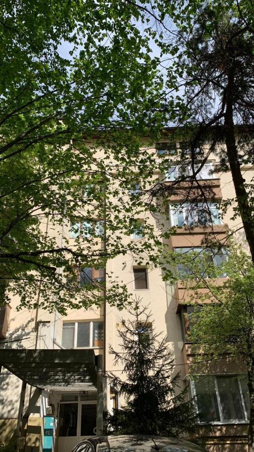 Best Apartment City Hall Suceava Bagian luar foto
