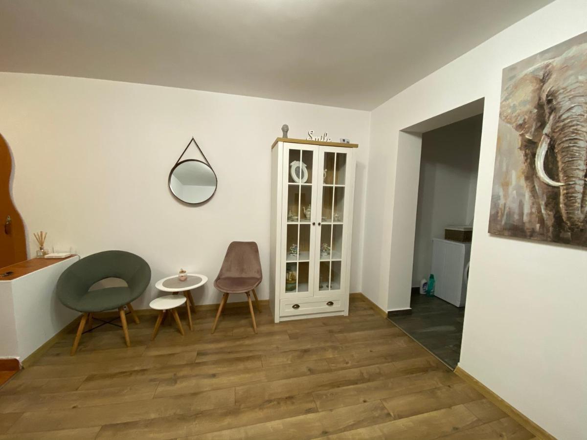 Best Apartment City Hall Suceava Bagian luar foto