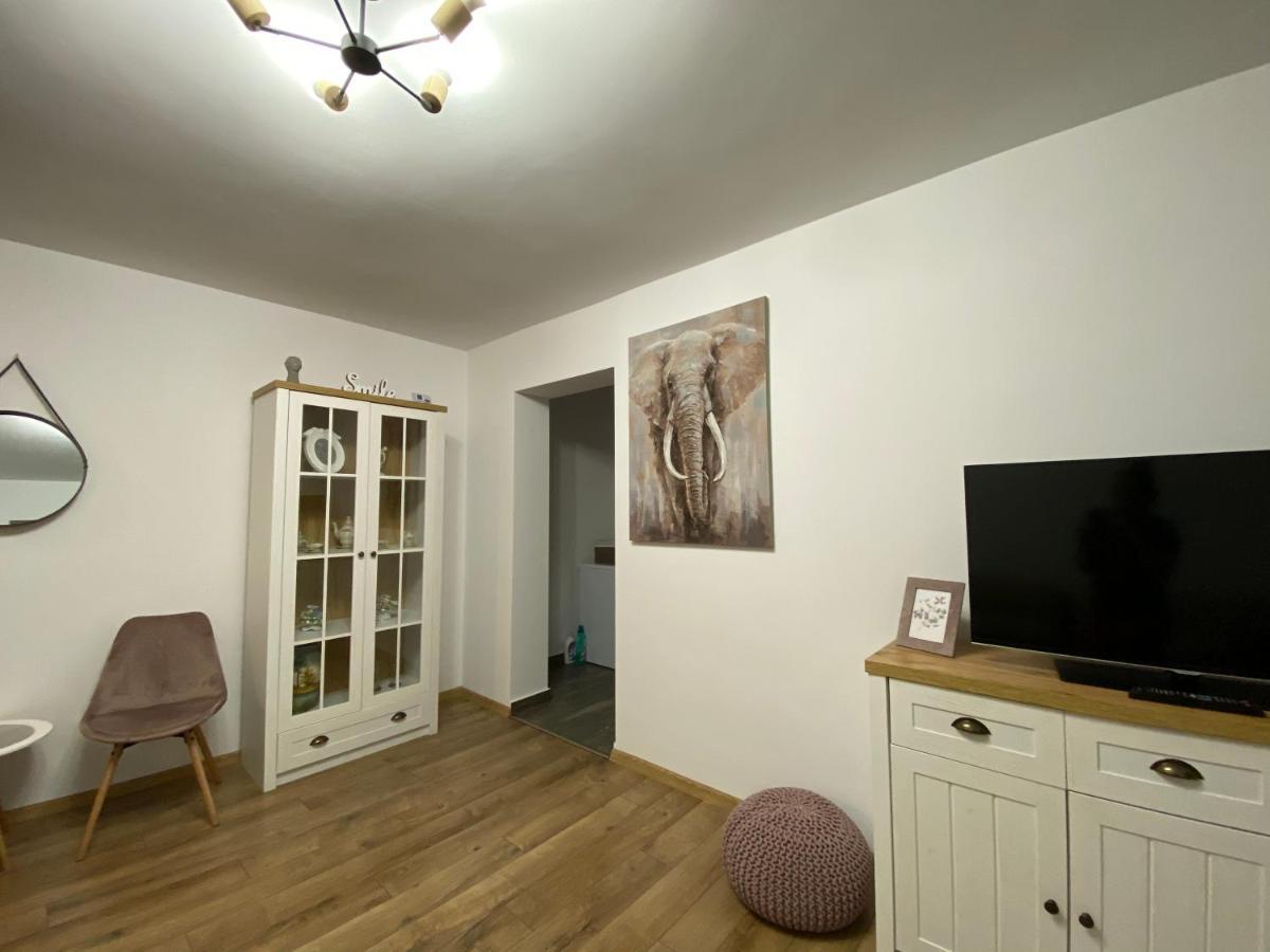 Best Apartment City Hall Suceava Bagian luar foto