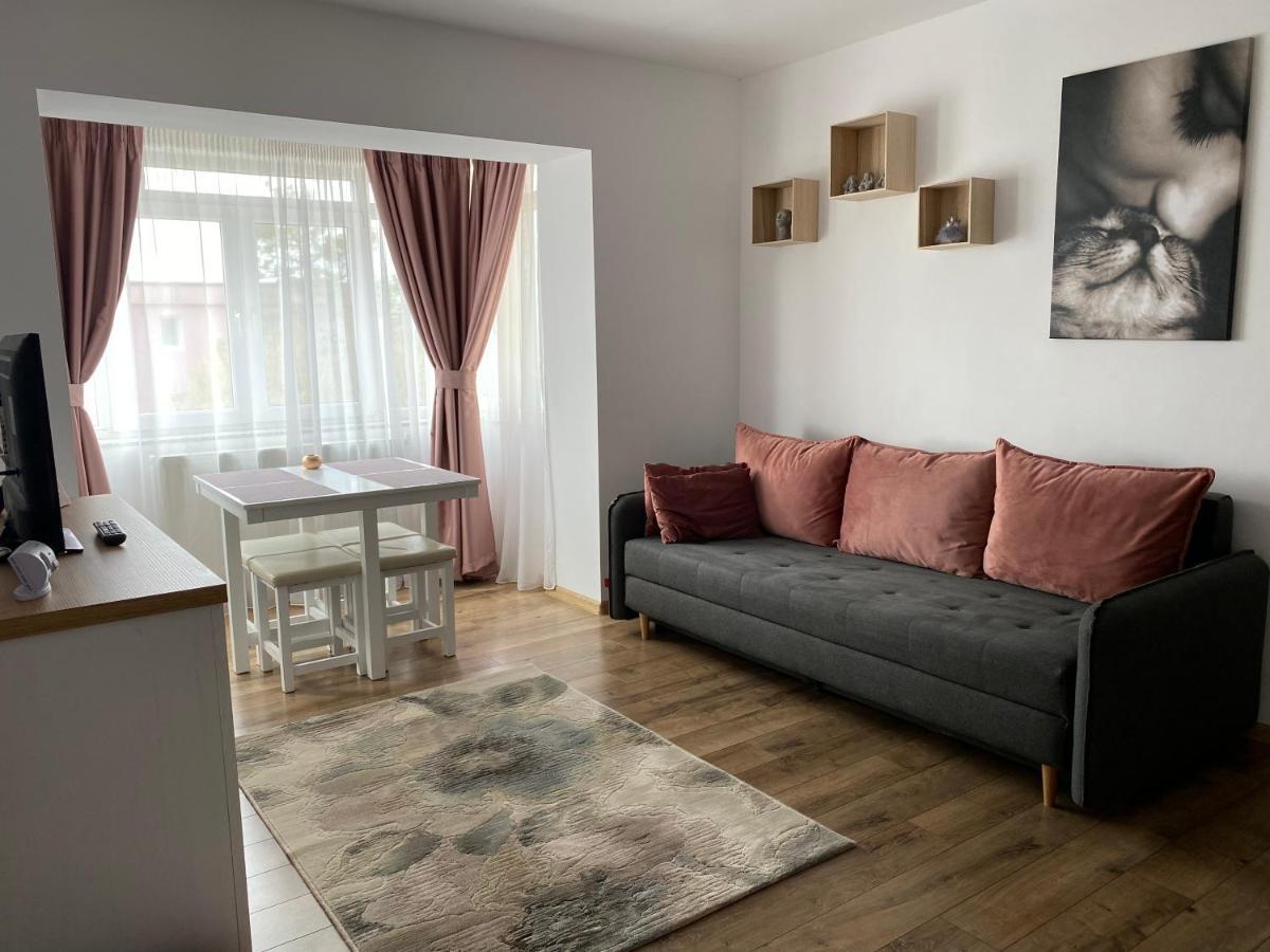 Best Apartment City Hall Suceava Bagian luar foto