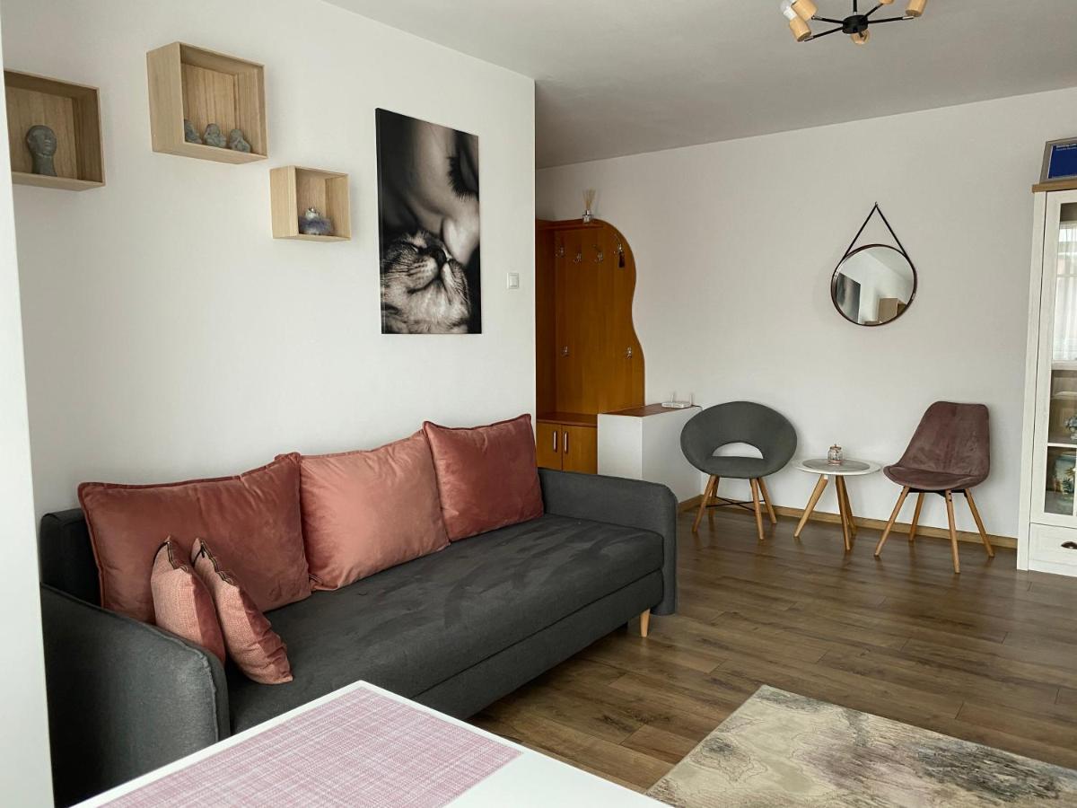 Best Apartment City Hall Suceava Bagian luar foto